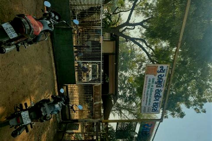 escort Valabhipur