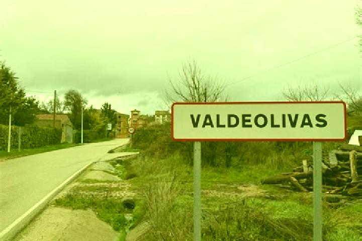 escort Valdeolivas