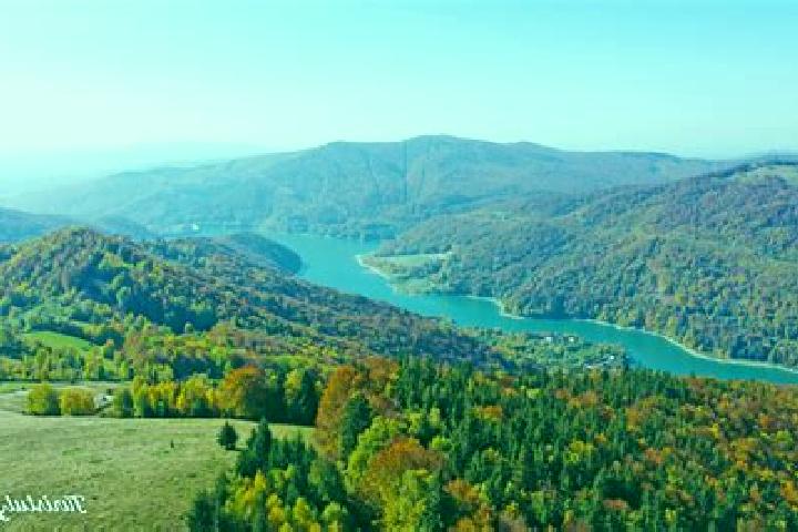 escort Valea Catinei