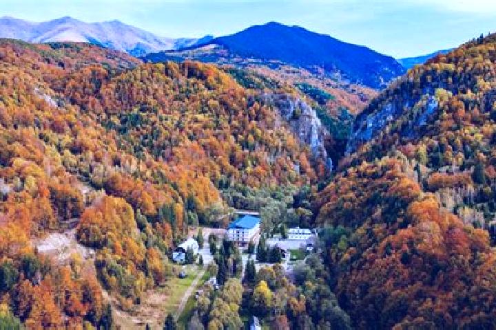 escort Valea de Brazi