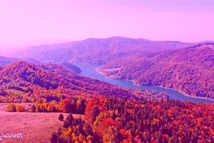 escort Valea Desului