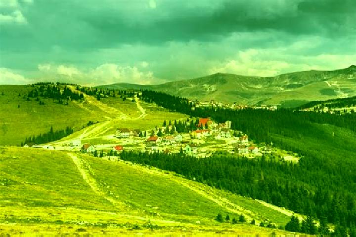 escort Valea Plopilor
