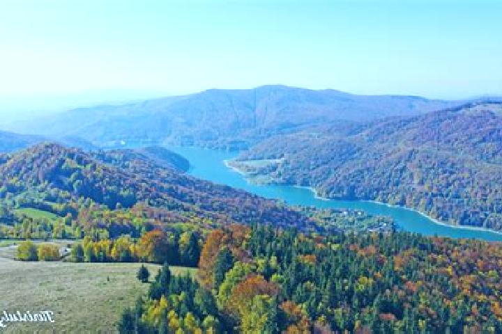 escort Valea Pojarului