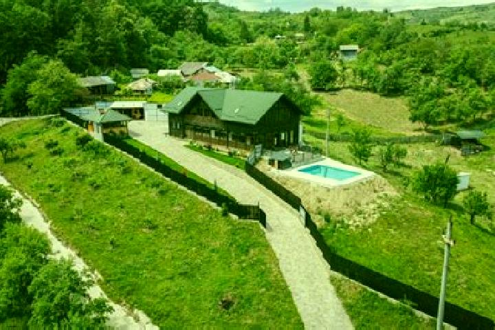escort Valea Salciei