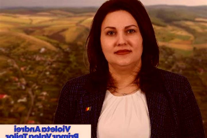 escort Valea Teilor