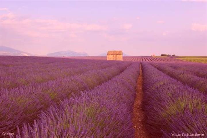 escort Valensole