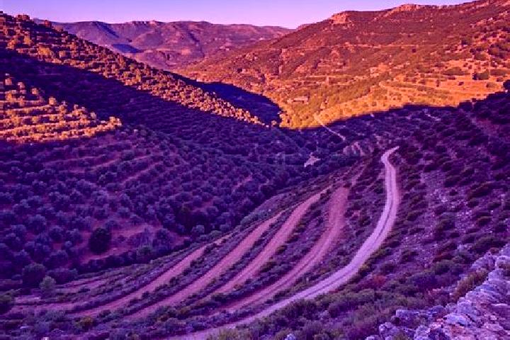 escort Vall de Gallinera