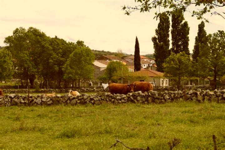 escort Valverde de Valdelacasa