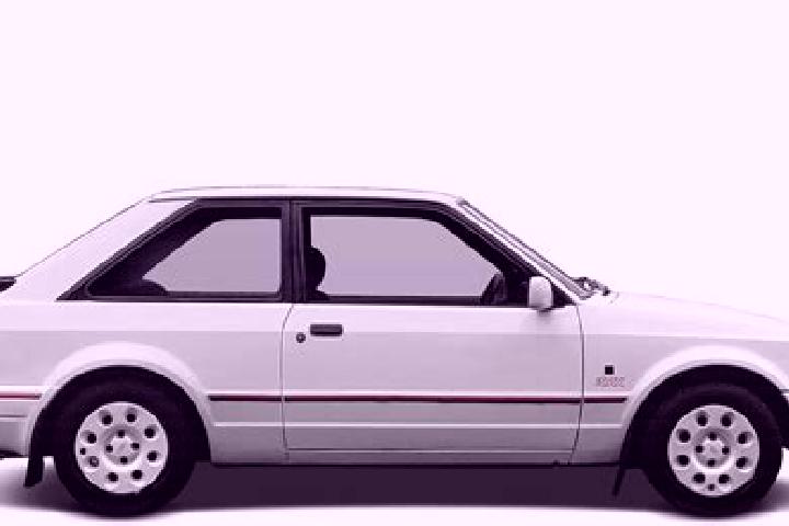 escort Van Starkenborgh