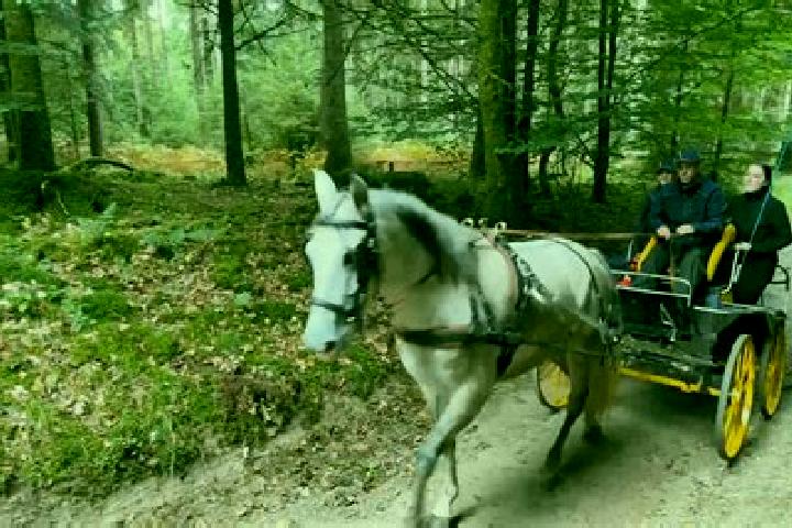 escort Varennes-en-Argonne