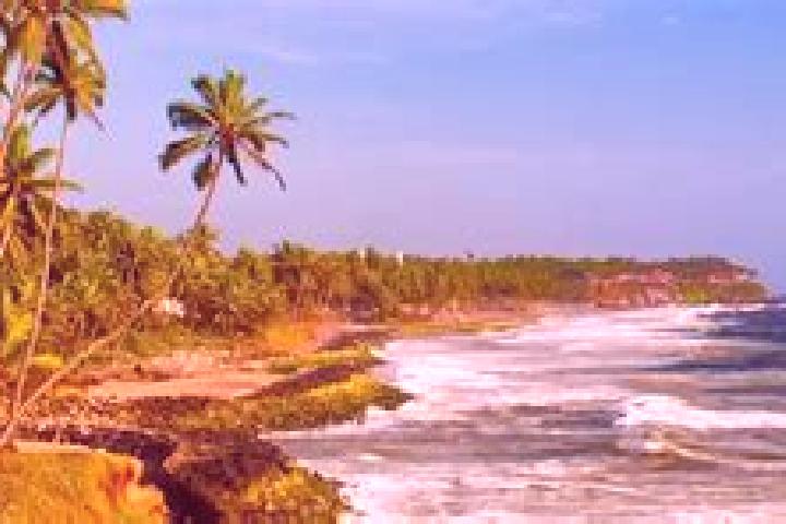 escort Varkala