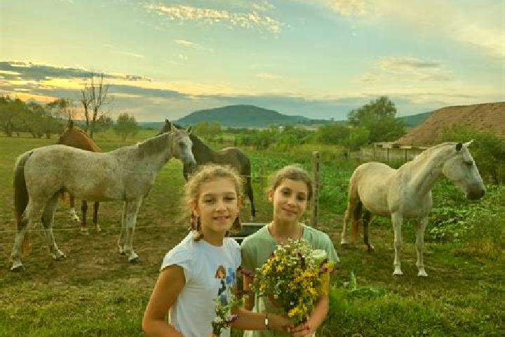 escort Vartoapele de Sus
