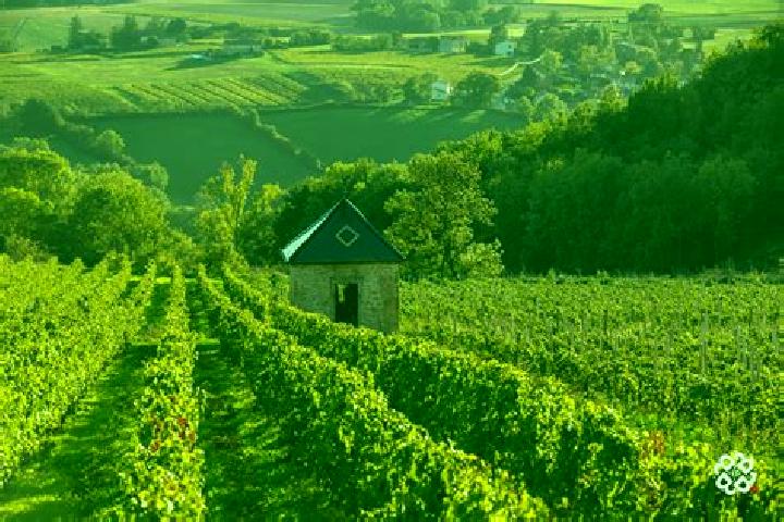 escort Vaux-en-Beaujolais