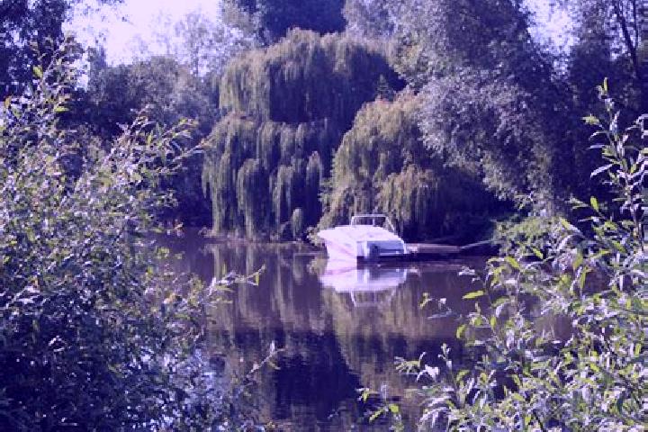 escort Vaux-sur-Seine