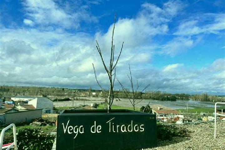 escort Vega de Tirados