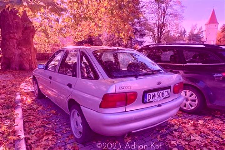 escort Veilsdorf