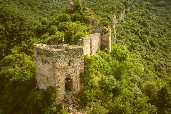 escort Veliko Gradiste