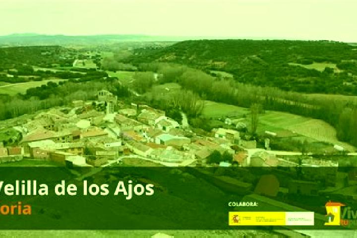 escort Velilla de los Ajos