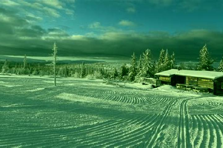 escort Vemdalen