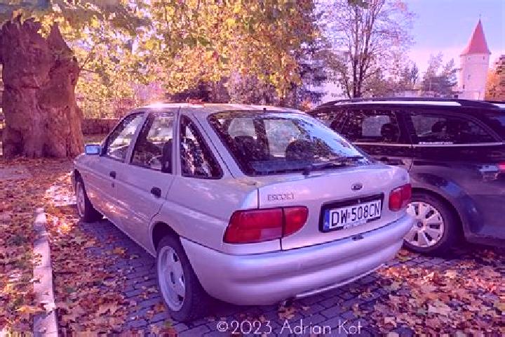 escort Vesternychany