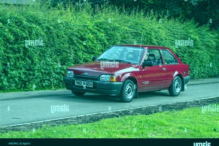 escort Veurne
