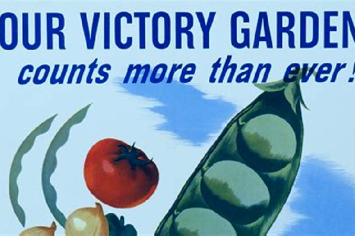 escort Victory Gardens