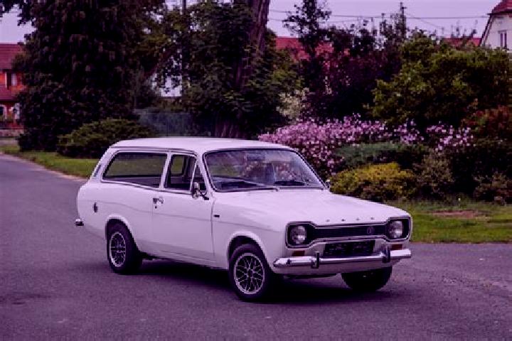 escort Videle