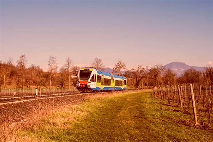escort Vigliano-Bettolino