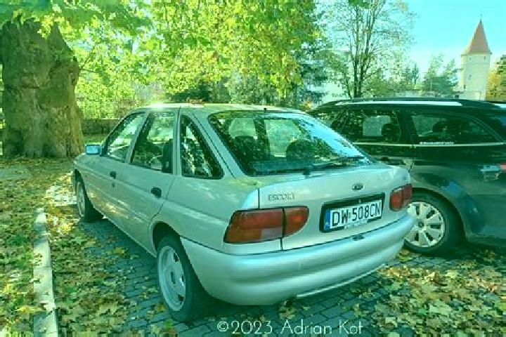 escort Viitivka