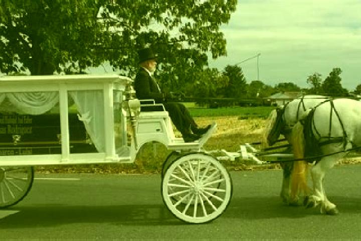 escort Vineland