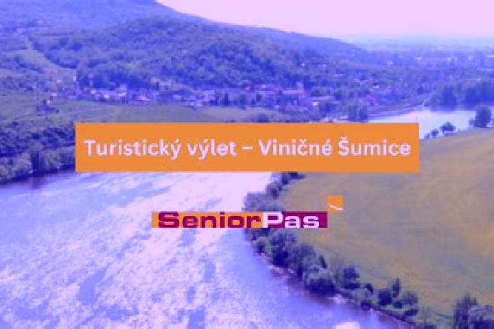 escort Vinicne Sumice