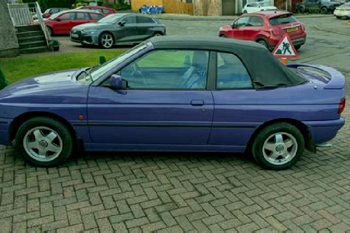 escort Violet