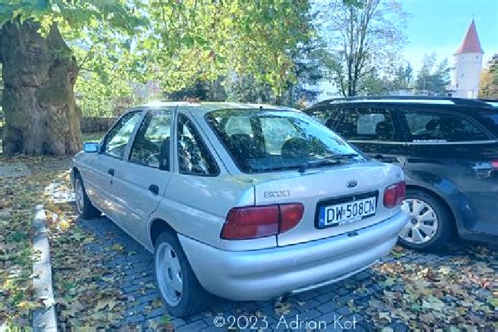 escort Vische