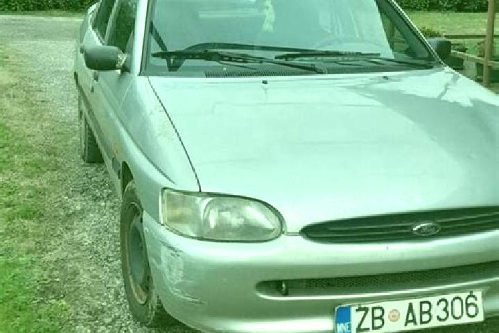 escort Visnja Gora