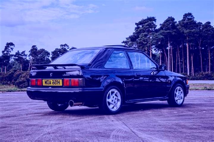 escort Vliermaal