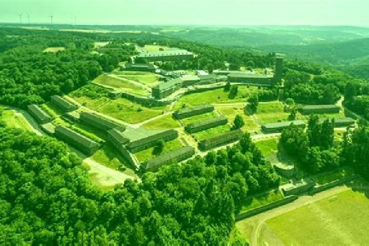 escort Vogelsang