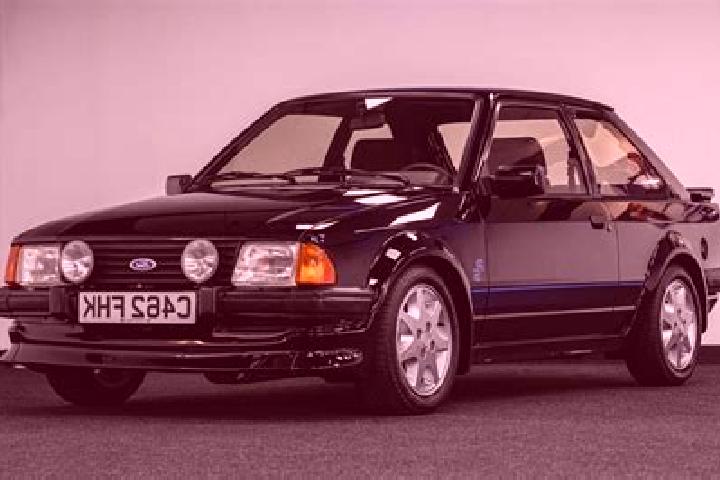 escort Volpara