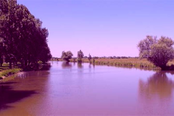 escort Vouille-les-Marais