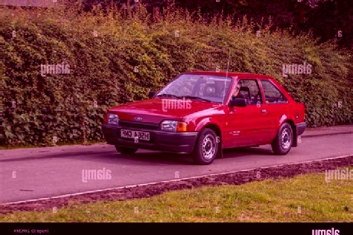 escort Vranestica