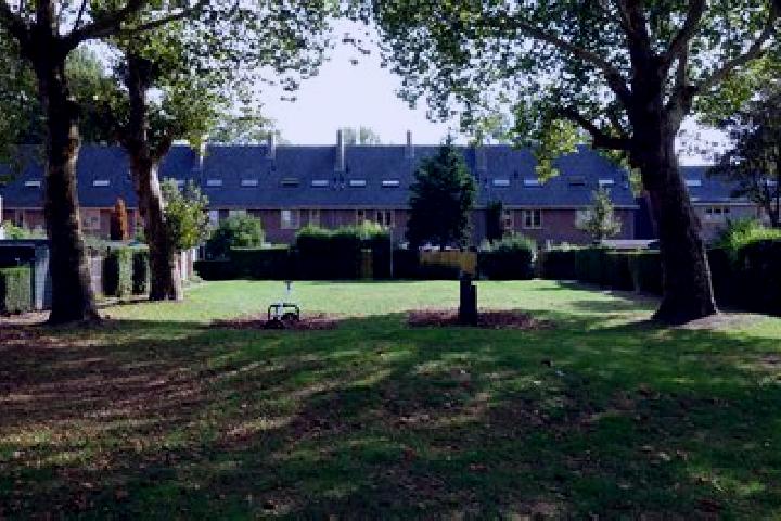 escort Vreewijk