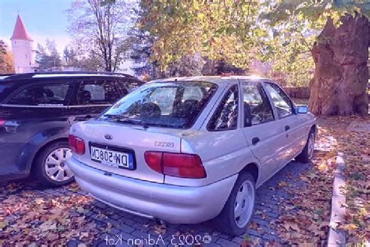 escort Vsetaty