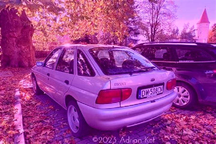 escort Vucetinec