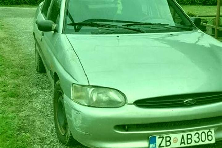 escort Vysokaya Gora