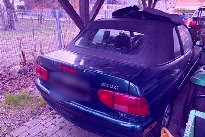 escort Waakirchen