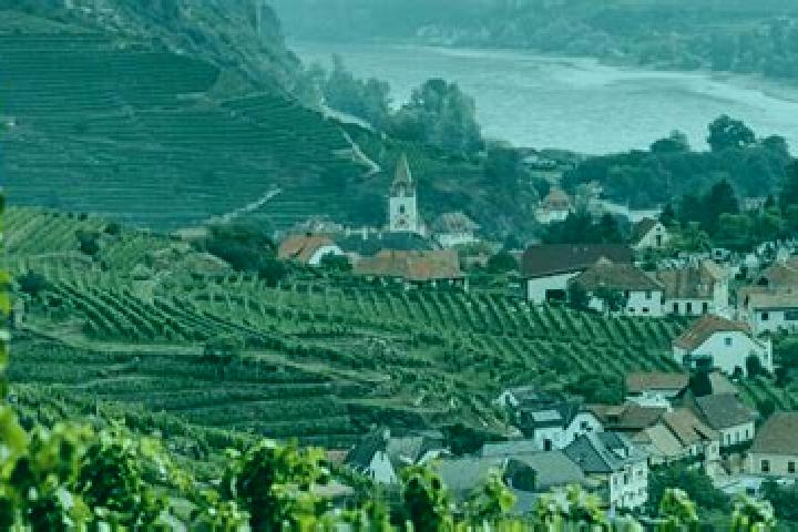 escort Wachau