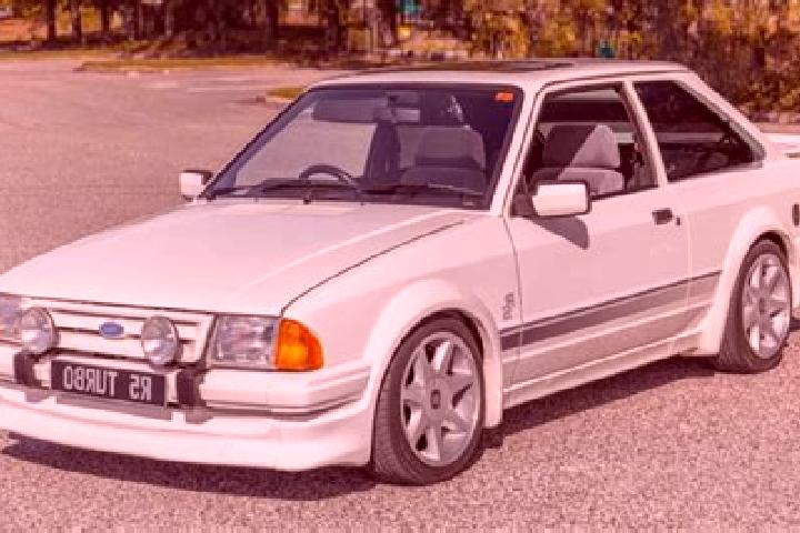 escort Wagenborgen