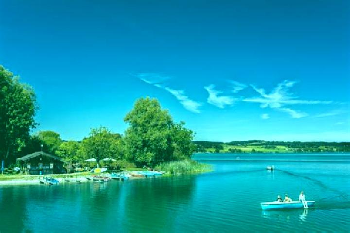escort Waging am See