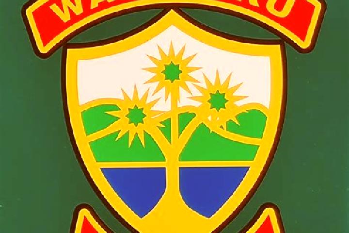 escort Waimauku