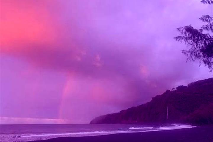 escort Waipio