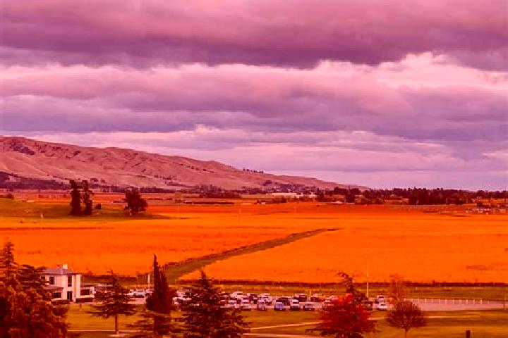 escort Wairau Valley